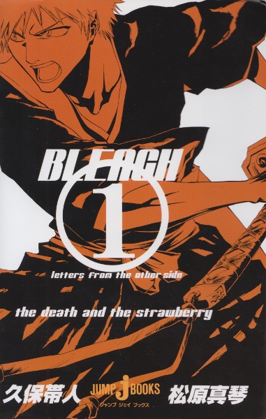 Bleach: Letters From the Other Side