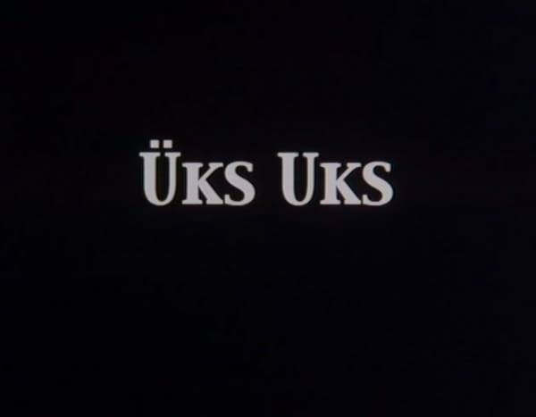 Üks Uks