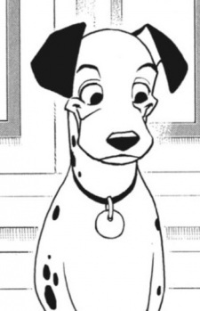 Pongo