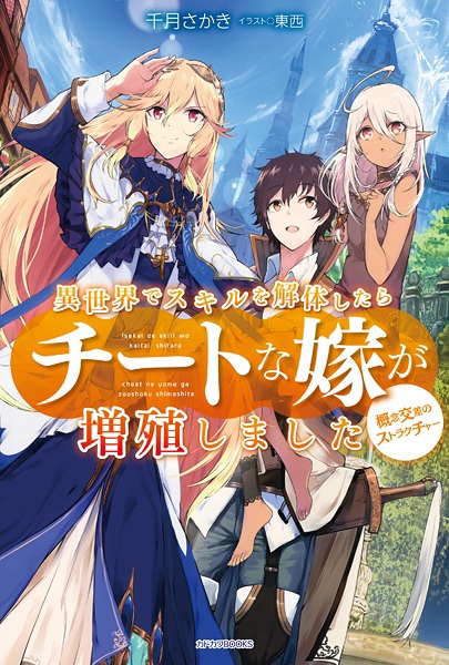 Isekai de Skill wo Kaitai shitara Cheat na Yome ga Zoushoku Shimashita: Gainen Kousa no Structure