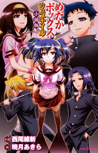 Medaka Box: Juvenile - Shousetsu-ban