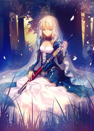 Fate/stay night: Garden of Avalon