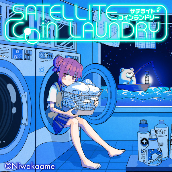 Satellite Coin Laundry