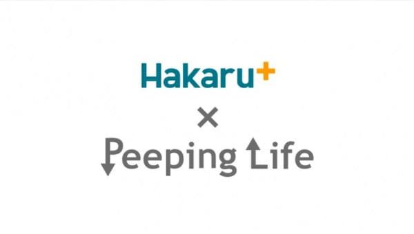 Takemoto Denki x Peeping Life