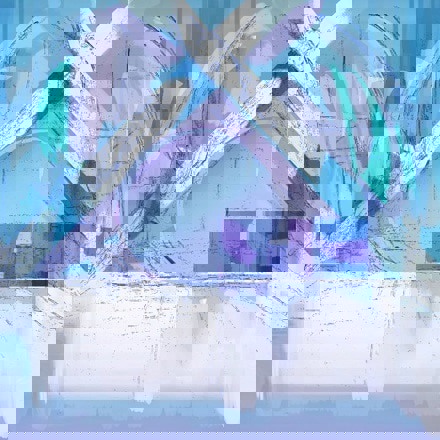 Binetsuma