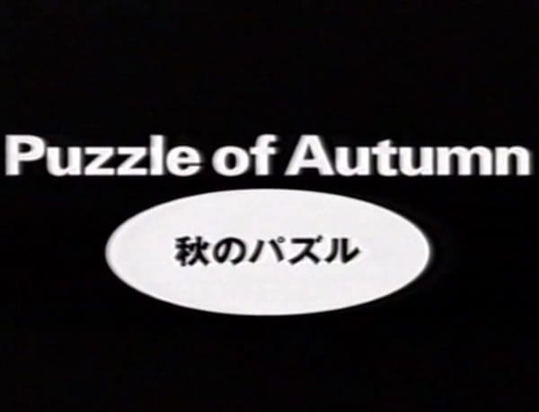 Aki no Puzzle