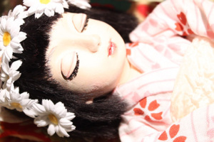 Shirayukihime to 7-nin no Kokeshi