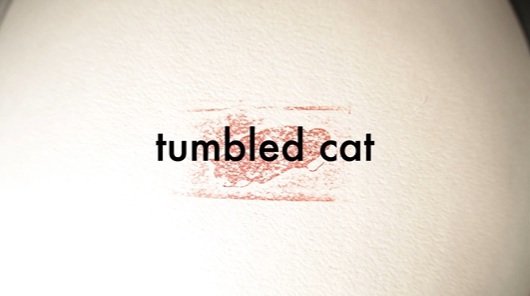 Tumbled Cat