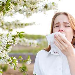 آلرژی های محیطی چیست؟