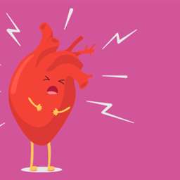 خلاصه ای از بیماری های قلبی عروقی