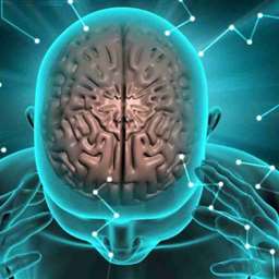 هاروارد، 3 کلید برای آموزش مغز و تقویت حافظه شما می دهد
