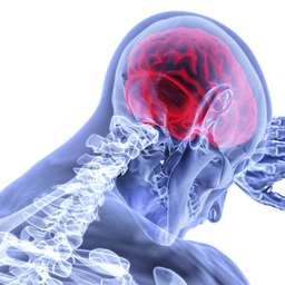 آسیب تروماتیک مغزی چیست؟